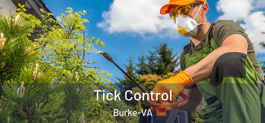 Tick Control Burke-VA