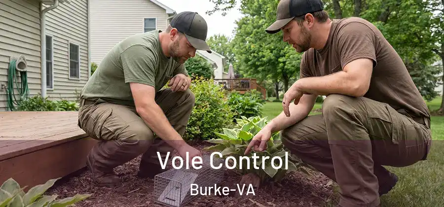 Vole Control Burke-VA