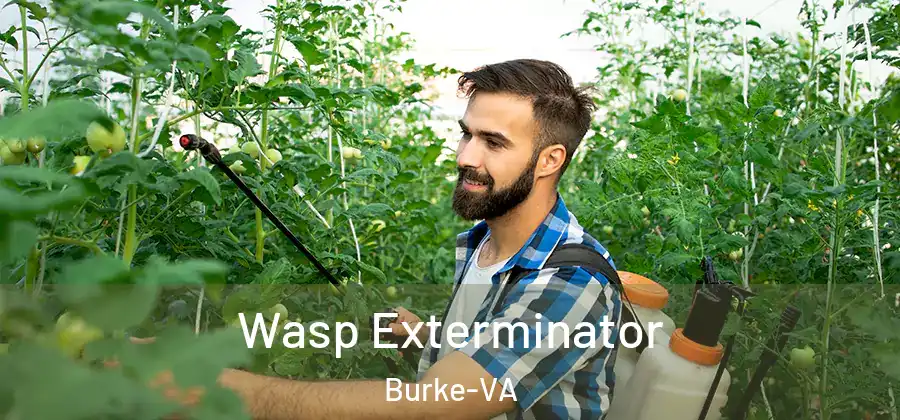 Wasp Exterminator Burke-VA