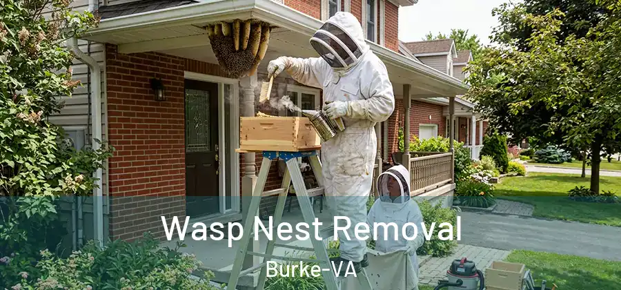 Wasp Nest Removal Burke-VA