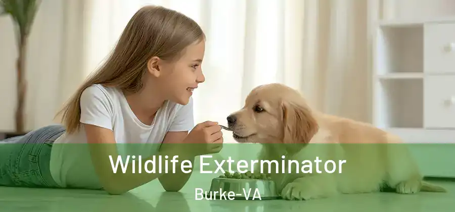  Wildlife Exterminator Burke-VA
