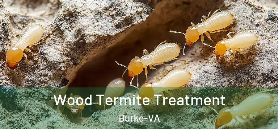 Wood Termite Treatment Burke-VA