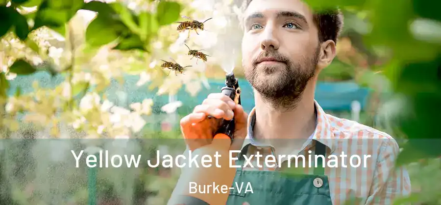 Yellow Jacket Exterminator Burke-VA